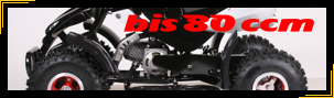 Kinder Quad Transport bis 80 ccm