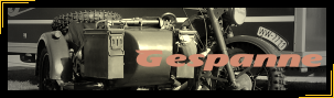 Gespanntransport - Can-Am Spyder Transport